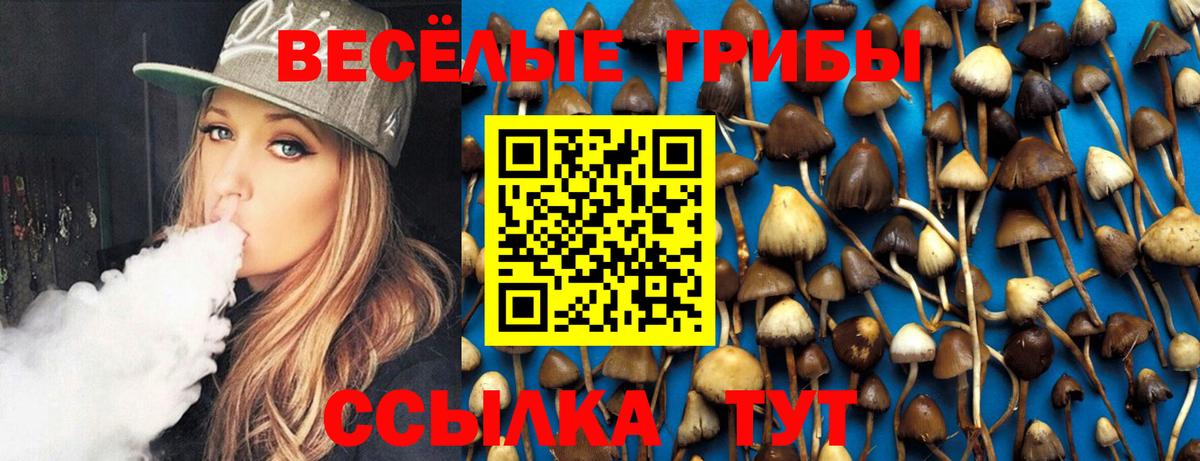 Псилоцибиновые грибы GOLDEN TEACHER Уссурийск